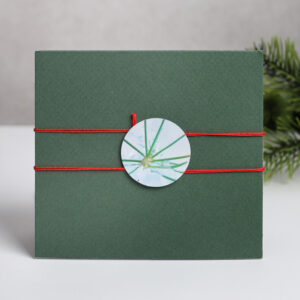 Leporello für Geldgeschenke - Beispiel Grün mit Eisstern