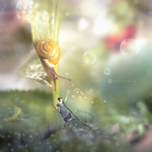 Bild "Schneck" - Selbstportrait und digitale Bildmontage